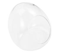 ORFOFE Large Egg-shaped Micro Landscape Bottle for Moss Growing and Plant Propagation Transparent Glass Ecological Terrarium Container for DIY Indoor Garden Decoration