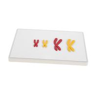 ORFOFE Magnetic Chromosome Change Model Biology Teaching Prop High Detail Visualization Middle School Cell Study Aid for Explaining Meiosis Process