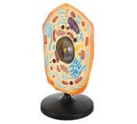 ORFOFE Middle School Animal Cell Model for Teaching Biology Material Display Detailed Anatomy Educational Tool for Students and Teachers in Science Classes