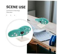 ORFOFE Realistic Paramecium Model with Stable Stand for Biology Lab Experiments Microscopic Organism Structure Display for Middle School Science Teaching and Laboratory Research
