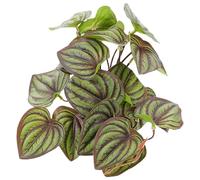 ORFOFE Realistic Reptile Fake Plants for Terrarium Decor with Green Resin and Plastic Material, for Reptile Box and Frog Habitats, for Enhancing Natural Environment in Crawler Box