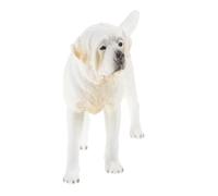 ORFOFE Realistic St Dog Figurine Plastic Craft Statue for Home Indoor Garden Decor Lifelike Miniature Animal Ornament Gift for Office Bedroom Display