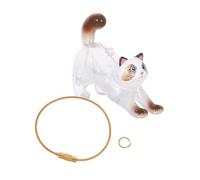 ORFOFE Transparent Cat Hair Storage Keychain Portable Keepsake Box for Kitten Whiskers and Pet Fur Collection Lightweight Travel-friendly Memorial Holder for Cats and Dogs