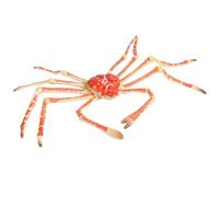 ORFOFE Vivid Crab Shaped Animal Model for Safe Premium Educational Ocean Themed Party Decoration Collectible Sea Life Ornament for Boys