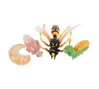 ORFOFE Wasp Life Cycle Simulation Model Educational Cognitive for Boys Nature Study Classroom Display Enhances Imagination and Learning