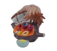 Organ Model Human Model 5X Magnification Uterus and Ovary Anatomy Model Follicle Development Fallopian Tube Organ Model for Teaching Anatomy Model Skeleton Model
