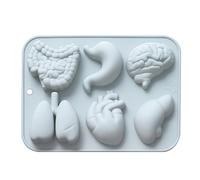 Organ Silicone Mold - Simulation Human Organs | Heart Brain Stomach Liver Intestinal Lung Fondant Molds | Chocolate Fondant Moulds for Cake Decoration, Candy, Cupcake Topper