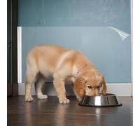 Orga'Neat Wall Protector, Clear Plastic Electrostatic Wall Protective Film Sheet, No Adhesive, Static Cling, No Harm to Paint, Guard Walls from Furniture, Dog, Trash Can, Food Splash, Back Chair