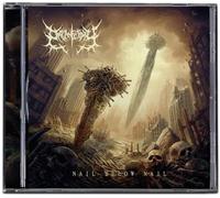 Organectomy - Nail below Nail