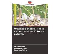 Organes sensoriels de la caille commune Coturnix coturnix