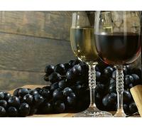 Organic Acids and Esters