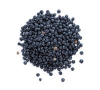 Organic Black (Beluga) Lentils 500g (BWFO)
