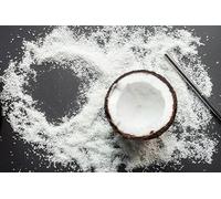 Organic Coconut Meal/Flour 250g