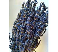 Organic Dried Lavender Bunch - Display-Grade French Lavender from Provence | Natural Rustic Decoration for Weddings, Bouquets & Home Décor | 30 cm Stems (1 Bunch)