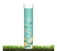 Organic Fertilizer, Indoor Plant Slow-Release Tablets, Concentrated Potted Plant Fertilizer, Garden Plant Food for Stronger, Healthier Roots