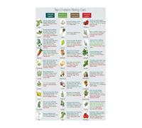 Organic Gardening Companion Planting Chart What to Plant Together for Healthy Growth Laminated Vegetable Herb Guide Decor(Unframed,08x12inch(20x30cm))
