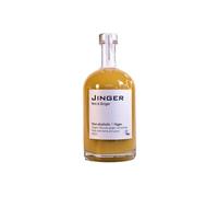 Organic Ginger & Mint - 500ml - Ginger Concentrate - Vegan - Reflux - Immune Booster - Heartburn Refreshing & All-Natural Beverage Great for Digestive Health & Natural Energiser
