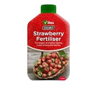 Organic Liquid Strawberry Fertiliser Natural Plant Food for Healthy, Bountiful Strawberries Promotes Vigorous Growth, Rich Flavor, and Prolific Yields Easy to Use, 1L Bottle
