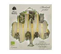 Organic Mint Refreshment Herbal Tea Sticks Handmade Bio Product Gift Set Strong mint plant aroma Refreshing effect Organic farming product