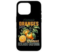 Organic Oranges Juicy Sweet Redlands California Case for iPhone 16 Pro