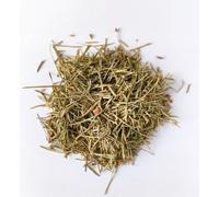 Organic Pine Needle Tea Natural Wild Picked Scots, Tea Infusion (100g)