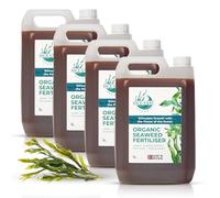 Organic Seaweed Fertiliser, Nutrient-Rich Plant Feed, Liquid Seaweed for Plants, Lawns & Vegetables UK-Made (20L)