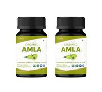 Organic Spree Amla 120 Tablets | Indian Gooseberry (Amalaki) | USDA Organic Certified | Organic and Natural - Pack of 2