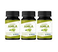 Organic Spree Amla 120 Tablets | Indian Gooseberry (Amalaki) | USDA Organic Certified | Organic and Natural - Pack of 3