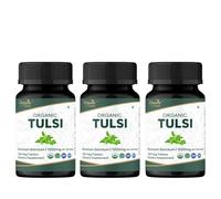 ORGANIC SPREE TULSI 120 Tablets | Holy Basil (Tulsi) | USDA Organic Certified | Organic and Natural - Pack of 3