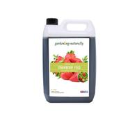 Organic Strawberry Feed Fertiliser for Strawberry Plants 5 Litres Makes 125 Litres of Food