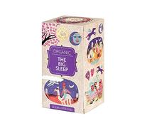 Organic The Big Sleep Infusion Tea 20 Bags by Ministry of Tea