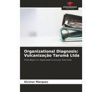 Organizational Diagnosis: Vulcanização Tarumã Ltda: Final Report on Supervised Curricular Internship