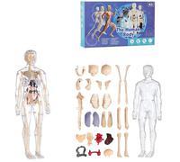 Organizeh Clear Human Body Structure Model, Assembled Removable Organs Bones, 29 Piece Transparent 3D Human Body Torso Model, Product Manual,for Students, Teachers
