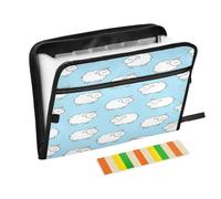 Organizer Folder 13 Pockets A4 Letter Size with Zipper Closure for Classroom Home Office Travel Blue Cartoon Sheep para guardar