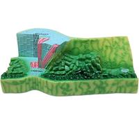 Organs Model - Leaf Cross Section Structure Biology Teaching Aid | Leaf Cross Section Model for Biology Education - Interactive Teaching Aid for Understanding Plant Structures