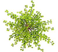 OrgMemory Artificial Berry, 20Pcs, Fake Burgundy Berry, 12" Each, Artificial Berries Stems for Xmas Tree Wreath Decorations Home Decor (green)