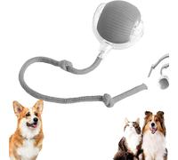 Orgrul Powerball 2.0 Cat and Dogs, Smart Cat Toy Ball, Chewy Viral Rolling Ball for Dog Cat, Chewie Rolling Ball, Chewie Viral Roller Ball, Chewie Viral Dog Ball, Grey