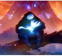 Ori and the Blind Forest: Definitive Edition Nintendo Switch Access