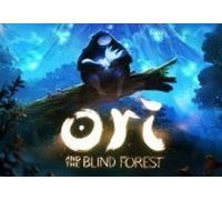 Ori and the Blind Forest Steam Gift