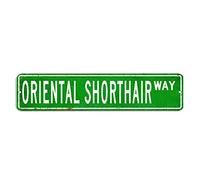 Oriental Street Sign Stay Wild Tin Sign 4x18in Custom Easy to Mount Aluminum Sign Retro Wall Decoration for Man Cave Bar Garage Man Cave