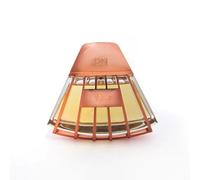 Orientica Shell Eau de Parfum 100ml | Luxury Unisex Perfume Spray | Long-Lasting Arabian Fragrance with Woody, Amber, Musk, Vanilla & Fruity Oriental Notes | Exotic Niche EDP