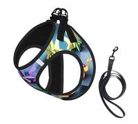 Origami Multicolor Papercraft Cranes Print Step in Dog Harness and Leash Set,Adjustable Reflective Harness for Small Dogs Cats