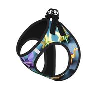 Origami Multicolor Papercraft Cranes Print Step in Dog Harness and Leash Set,Adjustable Reflective Harness for Small Dogs Cats