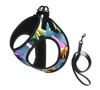 Origami Multicolor Papercraft Cranes Printing Dog Summer Harness With Leash Set,Adjustable And Reflective Step-In Puppy Pet Vest Harnesses