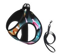 Origami Paper Crane Print Small Dog Harness with Leash Set, No Escape Easy Walk Puppy Harnesses for Training Walking