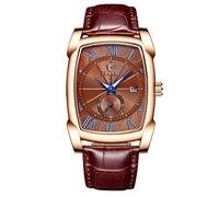 Origin memory Luxury Brand Men's Watches Quartz Date Week Clock Watches Waterproof (Brown)