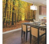 Origin Murals Autumn Forest Wall Mural - Medium - W300cm x H240cm