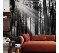 Origin Murals Monochrome Forest Matt Smooth Paste The Wall Mural 300Cm Wide X 240Cm High