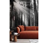 Origin Murals Monochrome Forest Wall Mural in Black | Size: Large Origin Murals Black Large