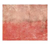 Origin Murals Mural Grunge Distressed Effect Large MUR282L